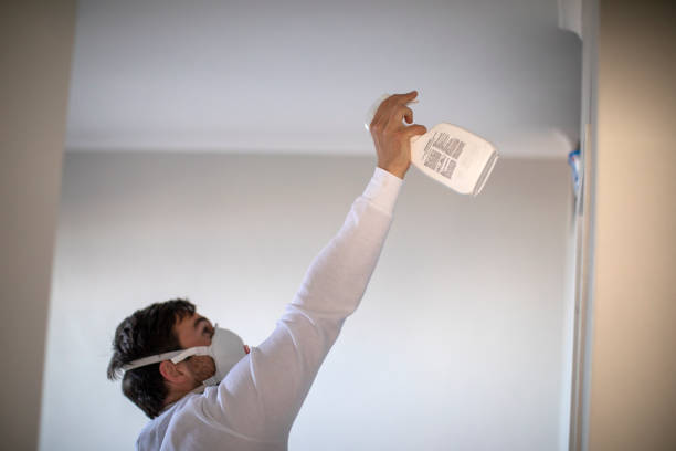 Best Commercial Mold Remediation in Gainesville, TX